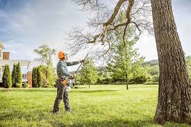 Best Grass Overseeding  in West Hurley, NY