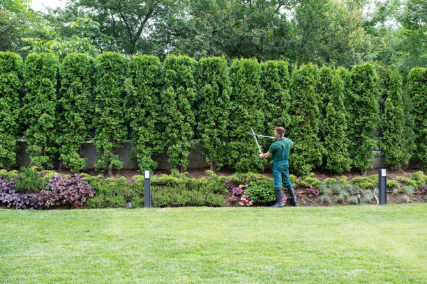 Best Lawn Irrigation Installation and Maintenance  in West Hurley, NY